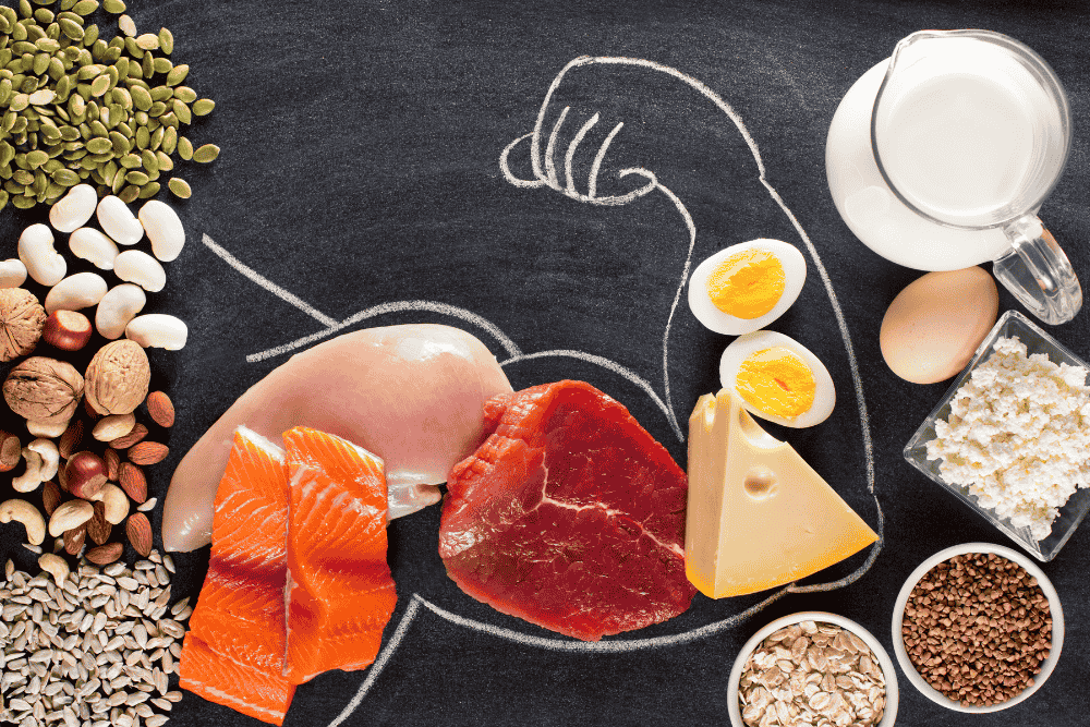 The Benefits of Protein for Muscle Building